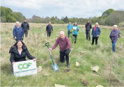  ??  ?? Branching out Northern Corridor volunteers plant the trees with Councillor Allan Graham