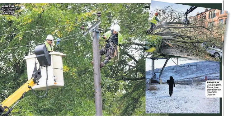  ??  ?? HIGH WIRE ACT Engineers try to repair power lines SNOW WAY On Cairngorm. Above, tree blown down in Broomhill, Glasgow