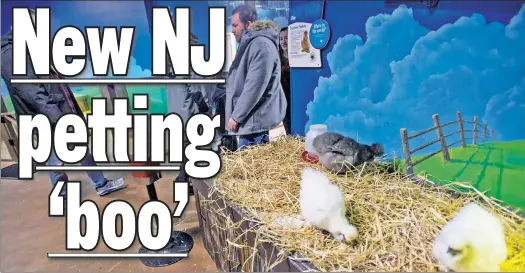  ??  ?? IT’S CLUCKED UP: At a Woodbridge Center SeaQuest, animals like these chickens live in filthy, poorly managed conditions, protesters (below) claim.