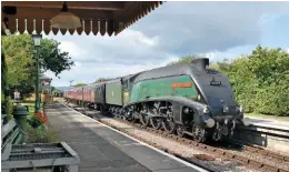  ?? DAVID CASTLE ?? On its most recent visit to a preserved railway, ‘A4’ No. 60009 Union of South Africa passes through Harmans Cross on the Swanage Railway, at the head of the Railway Touring Company’s ‘Swanage Belle’ on September 13.