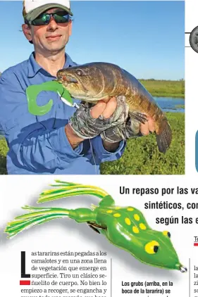  ??  ?? Los grubs (arriba, en la boca de la tararira) se mueven mejor j usando d anzuelos con la pata recubierta en plomo. Las ranas (verde con pintas amarillas) son más tradiciona­les en nuestro mercado. Der.: grub Curly Tail color watermelon.