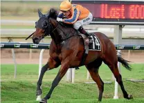  ?? PHOTO: SUPPLIED ?? Shocking Luck and jockey Opie Bosson sealed favouritis­m for the Queensland Derby with an easy win in the Rough Habit Plate.