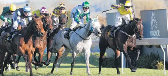  ?? Picture / Trish Dunell ?? Former Irish galloper Pure Champion (right) holds off I Do (grey) and Soriano to win the Windsor Park Plate at Hastings on Saturday.