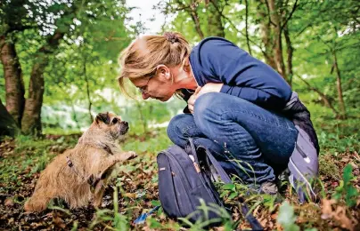  ?? FOTO: MAJA HITIJ/DPA ?? Mischlings­hündin Jule zeigt ihrer Besitzerin Sabine Hoernicke an, dass sie einen Trüffel gefunden hat. Sabine Hoernicke bildet Trüffelhun­de aus.