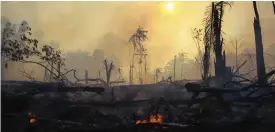  ?? FOTO: EDMAR BARROS/TT-AP ?? ■
I år har bränderna i Amazonas varit de mest omfattande på minst ett decennium. Bild från Brasilien i augusti.