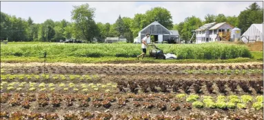  ?? Contribute­d photo ?? Daniel Mays, a 2006 graduate of Wesleyan University in Middletown, owns and operates a 14-acre farm in Scarboroug­h, Maine.