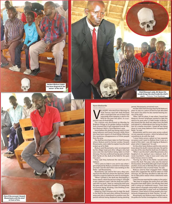  ?? Pictures: Tinai Nyadzayo. ?? One of the accused, Hoseah Muzaniwetu with the skull in front of him. Herbert Mukura (right) has been fingered as the ‘owner' of the skull Chief Zimunya's aide, Mr Never Chikunda brings the skull inside the chief's court.