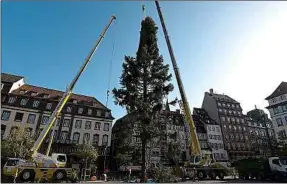  ??  ?? Le nouveau sapin rejoint la place Kléber dimanche à Strasbourg. En principe.