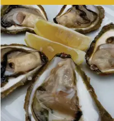  ??  ?? Winemaker Ivan Miloš. PHOTO ABOVE PHOTO BELOW Ston oysters on the half-shell.