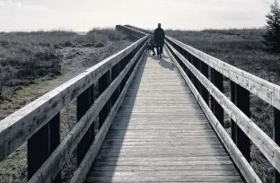  ?? ?? The second, longer boardwalk will lead you down to the beach.