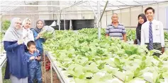  ??  ?? Visitors buying fresh vegetables from Kundasang Aquafarm.