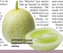  ??  ?? DIFFERENT. Crystal Apple is an heirloom variety.