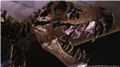  ??  ?? A view of 'Stan the T.Rex' King of the Dinosaurs held at Christie's auction house