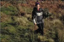  ??  ?? Martina foraging dried wild ‘ dead’ material in between the hedgerows.