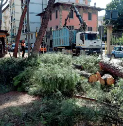  ??  ?? I boscaioli in piazza della Vittoria e a destra la piazza come sarà secondo il Comune