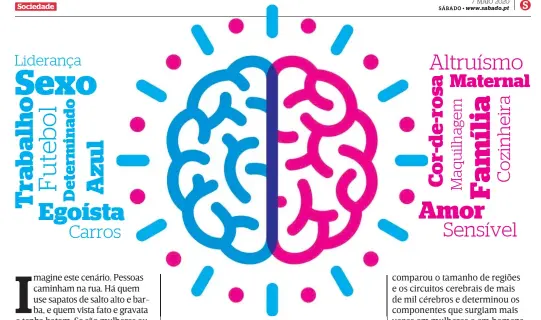  ??  ?? Os estereótip­os não são ditados por diferenças no cérebro