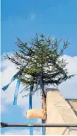  ?? FOTO: NATURRAUM BLAU ?? Die blauen Bändel des Richtbaums am Gebäude wurden mit Färberwaid blau gefärbt.