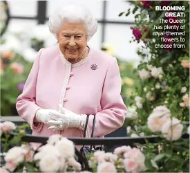  ?? ?? BLOOMING GREAT: The Queen has plenty of royal-themed flowers to choose from