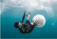  ?? (Hagai Nativ) ?? A RESEARCHER from University of Haifa’s school of marine sciences examines a jellyfish off the coast of Haifa.