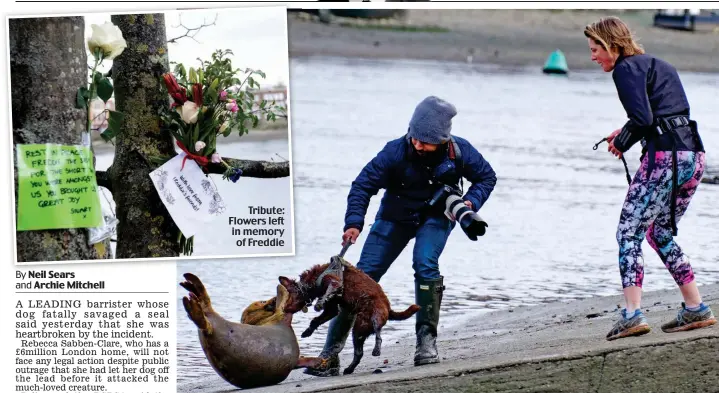  ??  ?? Tribute: Flowers left in memory of Freddie
Unleashed: Rebecca Sabben-Clare looks on as a passer-by tries to stop her pet terrier attacking Freddie the seal in Barnes