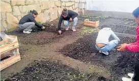  ??  ?? Proyectos productivo­s. Los alumnos secundario­s aprenden tareas de huerta, supervisad­os por docentes.