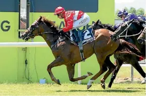  ?? SUPPLIED ?? High Distinctio­n scores the first of two wins from just three starters for young trainer Cody Cole.