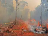  ?? [REUTERS/AMANDA PEROBELLI - ] ?? Les incendies qui ravagent l’Amazonie rappellent le rôle des forêts dans la régulation du climat.