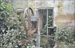  ?? HT PHOTO ?? Imam Abdul Gaffar Khan’s house, a couple of kilometres from the Mughalera mosque, is now decrepit and overrun with weeds.