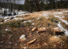  ?? ?? Recently cleared land in Jefferson County’s Elk Meadow Park is seen on Feb. 28 in Evergreen.