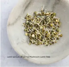  ?? ?? Lentil sprouts all set for Mushroom-Lentil Pâté