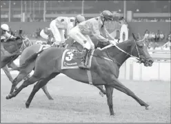  ?? Picture: Candiese Marnewick ?? Duncan Howells saddles FIORELLA in the Ipi Tombe Challenge at Turffontei­n on Saturday. Mark Khan has the ride.