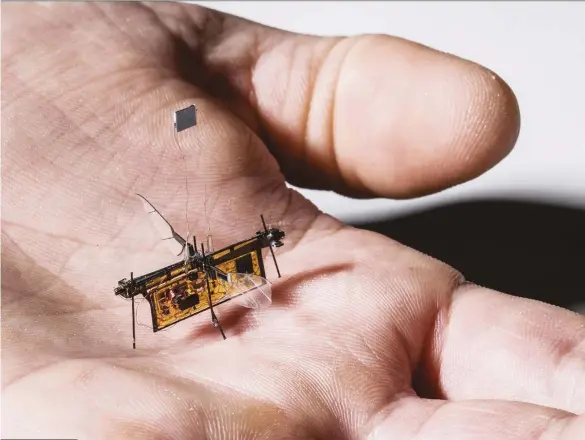  ??  ?? Power and lift are the flies in the ointment when it comes to building robotic insects