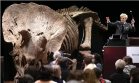  ?? Photograph: Ian Langsdon/EPA ?? Collectors bidding for ‘Big John’ at the Drouot auction house in Paris on 21 October.