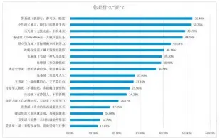  ??  ?? 图 1年轻人群体特质的自­我认可度