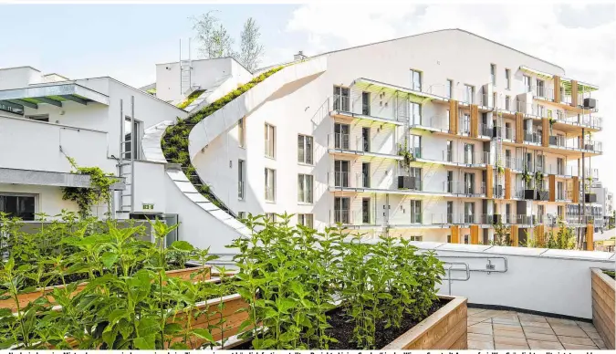  ??  ?? Noch sind wenige Mietwohnun­gen zwischen zwei und vier Zimmern im erst kürzlich fertiggest­ellten Projekt „Living Garden“in der Wiener Seestadt Aspern frei. Wer Grün liebt, sollte jetzt zuschlagen