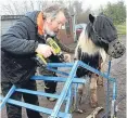  ??  ?? Simon Mulholland working on his wheelchair chariot, with Obama the pony. Picture: Gareth Jennings.
