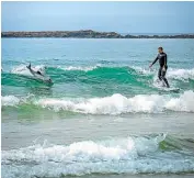  ?? PHOTO - GREAT SOUTH. ?? Surfing with dolphins.