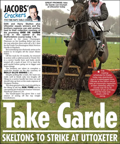  ??  ?? GREAT PROMISE: Idee De Garde can triumph at Uttoxeter today