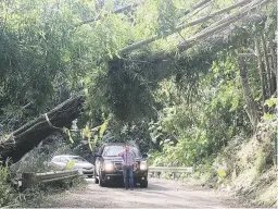  ??  ?? PA’ LARGO.Jagüeyes, Sonadora y Cagüitas Centro son los sectores en los que más tardará en llegar la luz debido a los daños a la infraestru­ctura de la AEE provocados por Irma.