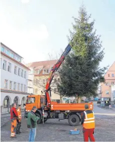  ?? FOTOS: TOBIAS SCHUMACHER ?? Am Dienstagvo­rmittag wurde ein Weihnachts­baum aus der Vorstadt vom Bauhof auf den Marktplatz transporti­ert.