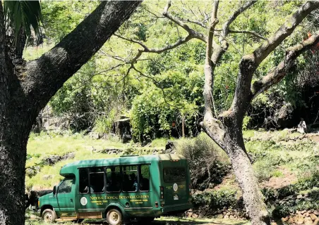  ?? Janet L. Leopold / National Tropical Botanical Garden ?? National Tropical Botanical Garden: Allerton and McBryde gardens, 4425 Lawai Road, Poipu, Kauai. (808) 742-2623, www. ntbg.org.
A shuttle bus at the tropical garden on Kauai, which includes the world’s largest collection of native Hawaiian plants,...