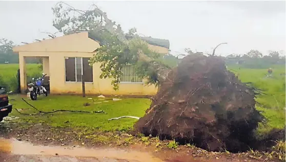  ?? ÉDGAR CHINCHILLA. ?? Gilda Céspedes, habitante de Las Delicias de Aguas Zarcas de San Carlos, encontró su casa destruida luego de que un árbol de gran tamaño le cayera encima. Ella vive con una hija de 16 años y ambas estaban fuera cuando ocurrió la emergencia.