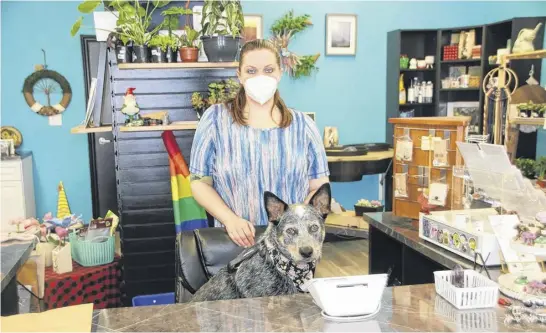  ?? LYNN CURWIN PHOTOS ?? Mercedes Blair often gets some help from her dog Izzy while working at her Truro store, Wandering Jasmine Gardens. The shop, which is located on the Esplanade, is filled with houseplant­s and much more.