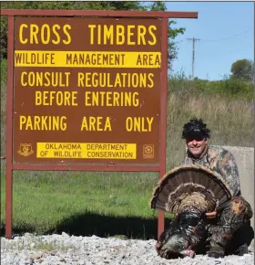  ?? (Arkansas Democrat-Gazette) ?? Two days of intensive scouting enabled the author to bag this fine Rio Grande gobbler Wednesday during a controlled spring turkey hunt at Oklahoma’s Cross Timbers Wildlife Management Area.