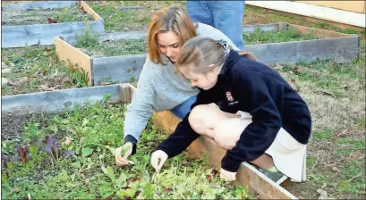  ?? / Doug Walker ?? Terri Pierce (left) and her fourth-grade daughter Sara Jo Pierce check out some of the greens in the students’ winter veggie garden Wednesday at Darlington Lower School. The students held a farmers market to raise funds for a yet-to-be-determined charity.