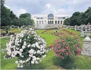  ?? FOTO: EPPINGER ?? Das farbenpräc­htige Barockpart­erre vor der Flora gehört zu den gärtnerisc­hen Schmuckstü­cken Kölns.