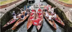  ??  ?? Mit sechs kleinen Holzbooten fahren die Schwanenzä­hler auch Seitenkanä­le der Themse westlich von London ab.
