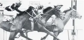  ?? ?? Karu, trained by Jack Holmes in Levin, finished a close third in the 1978 Melbourne Cup.