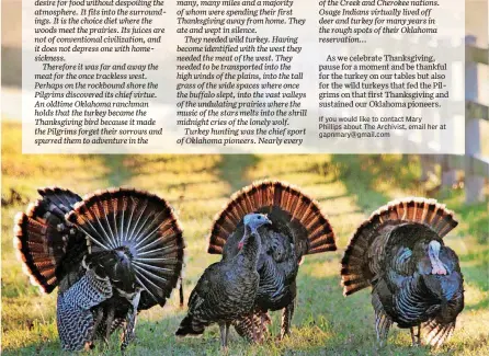  ?? [OKLAHOMAN ARCHIVES PHOTO] ?? Wild turkeys are shown Oct. 12, 2010, in the early morning light in Logan County.