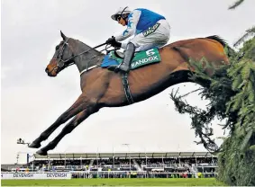  ??  ?? Leading the way: Paul Townend and Cadmium are clear of their rivals at Aintree